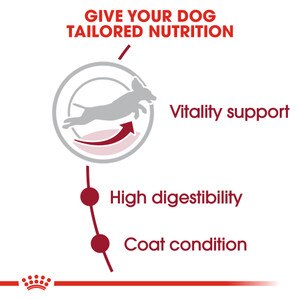 ROYAL CANIN® Medium Adult 7+ 15kg
